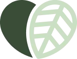 My Blog